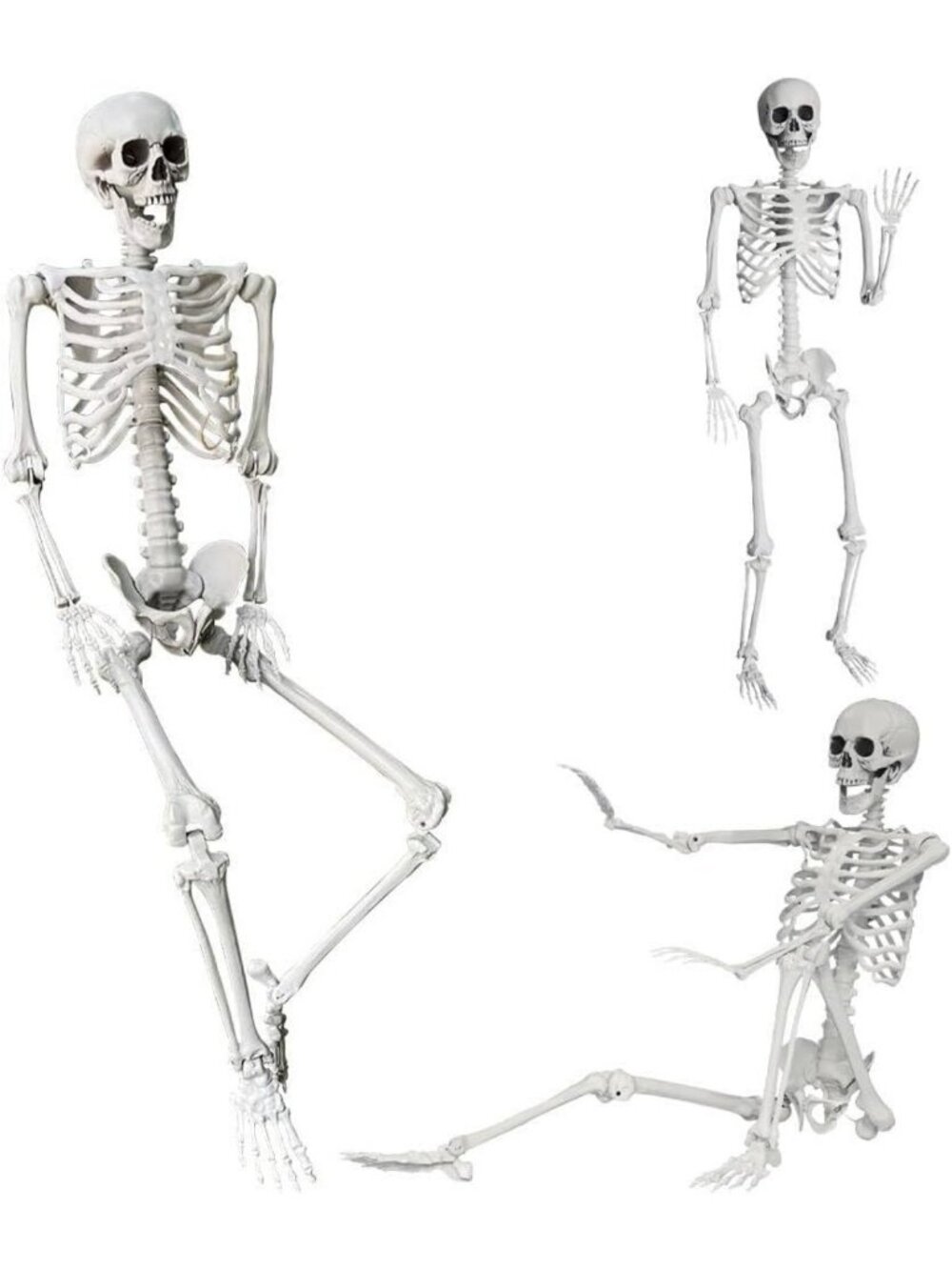 Life-Size Halloween Skeleton with Movable Joints - 5.4ft Indoor/Outdoor Decor